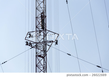 Men painting radio transmitter tower Liblice 26022889