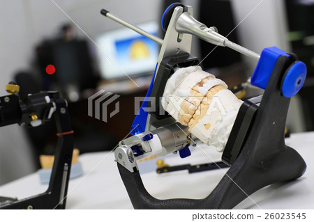 Denture cast in plaster for the dentist 26023545