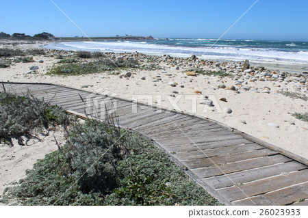 California No. 1 line of 27 kilometers of the town of Carmel chosen within the best 10 best scenic roads. A forest with a view of the Pacific Ocean California No. 1 line of 27 kilometers of the town of Carmel chosen within the best 10 best scenic roads. A forest with a view of the Pacific Ocean 26023933