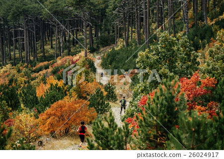 group runners run descend from mountain 26024917