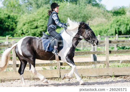 A girl practicing horseback riding 26026571