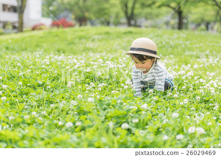 Infants playing in the park Infants playing in the park 26029469