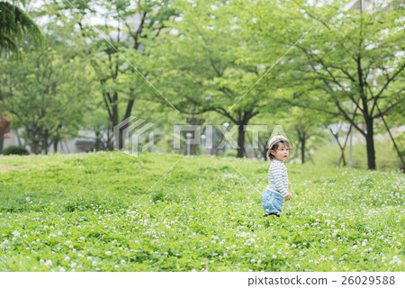 Infants playing in the park 26029588