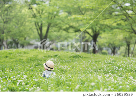 Infants playing in the park 26029589