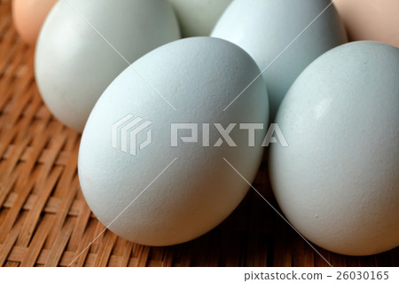 Arrowana雞蛋 Arrowana雞蛋 26030165