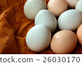 Arrowana eggs 26030170