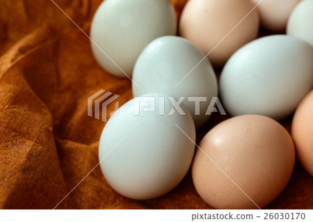 Arrowana eggs Arrowana eggs 26030170