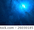 Maui Molokini 26030185