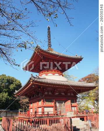 川越 川越 26030348