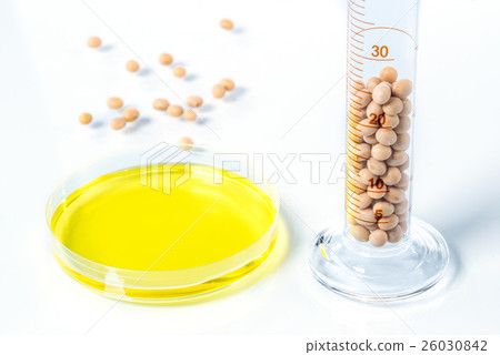 Soybean genetically modified, Plant Cell Soybean genetically modified, Plant Cell 26030842