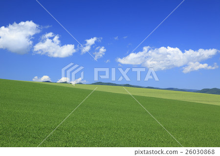 北海道美瑛鎮麥田和流雲 26030868