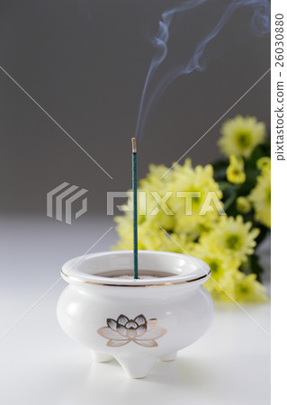 香和菊花 香和菊花 26030880
