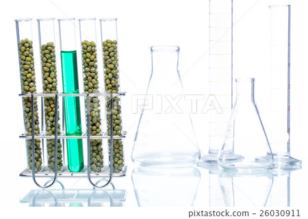 Mung Bean genetically modified, Plant Cell Mung Bean genetically modified, Plant Cell 26030911