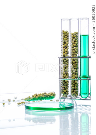 Mung Bean genetically modified, Plant Cell Mung Bean genetically modified, Plant Cell 26030922