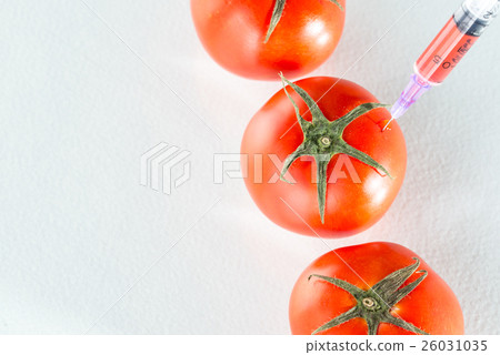 genetic modification red tomato laboratory 26031035