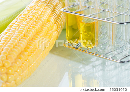 Biofuel or Corn Syrup sweetcorn Biofuel or Corn Syrup sweetcorn 26031050