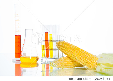 Biofuel or Corn Syrup 26031054