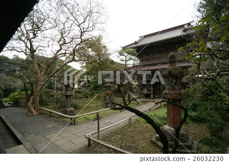 鎌倉欣卡姆寺 鎌倉欣卡姆寺 26032230