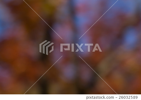 Blurred material in autumn forest Blurred material in autumn forest 26032589