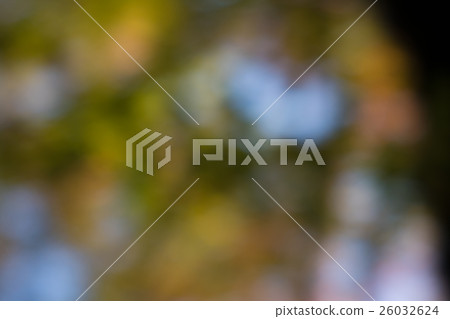 Blurred material in autumn forest Blurred material in autumn forest 26032624