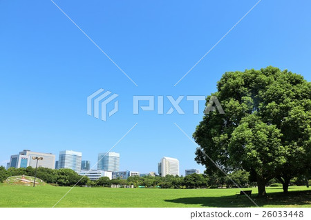 一個美麗的藍天公園 一個美麗的藍天公園 26033448