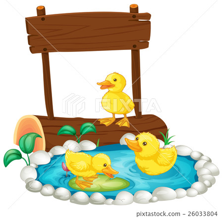 Three ducklings swimming in the pond Three ducklings swimming in the pond 26033804