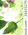 Green frame 26035276