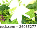 Green frame 26035277