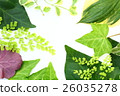 Green frame 26035278