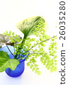 Green Arrangement 26035280