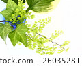 Green Arrangement 26035281