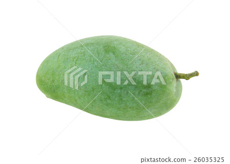 mango isolated in white background with clipping p mango isolated in white background with clipping p 26035325