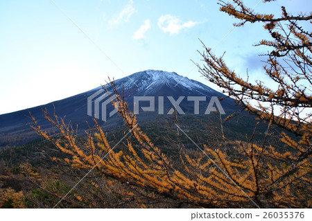 第一冠雪 26035376