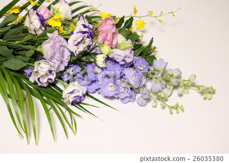 供應鮮花 26035380