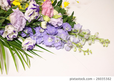 供應鮮花 26035382