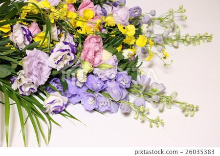 供應鮮花 26035383