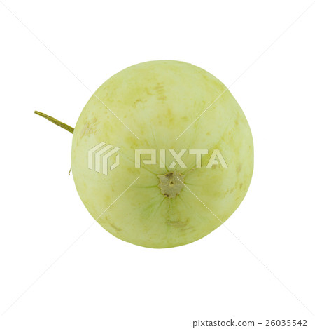 Cantaloupe isolated on whited background. 26035542
