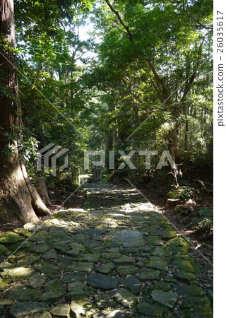 Daimonzaka Daimonzaka 26035617