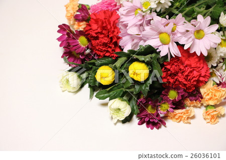 Supplied flowers 26036101