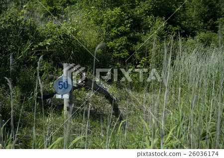 Toya Nishiyama mountain foot crater (broken telephone pole) Toya Nishiyama mountain foot crater (broken telephone pole) 26036174