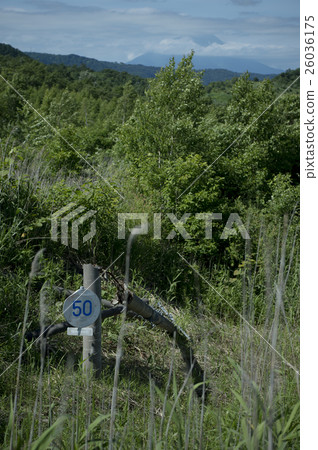 Toya Nishiyama mountain foot crater (broken telephone pole) Toya Nishiyama mountain foot crater (broken telephone pole) 26036175