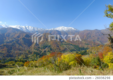 A view of autumnal leaves and snow from the Turbi pass in Oguni Town, Yamagata prefecture A view of autumnal leaves and snow from the Turbi pass in Oguni Town, Yamagata prefecture 26036298