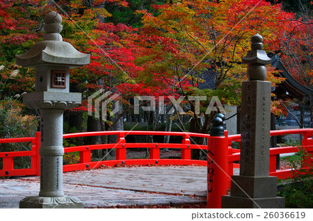 Autumn leaves of Okunoin Bridge and lantern of red railings Koyasan Wakayama prefecture 26036619