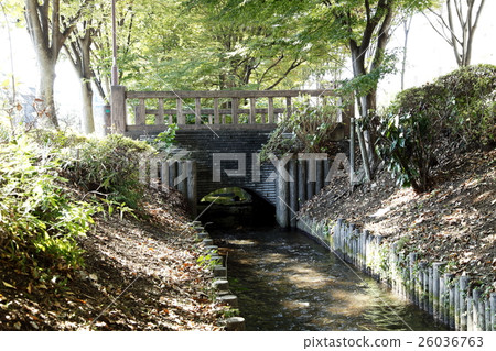 Chikawa Kamimizu 26036763
