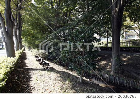 Chikawa Kamimizu 26036765