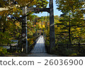 Suspension bridge and autumn leaves of Arakawa Goro Takanosu 26036900