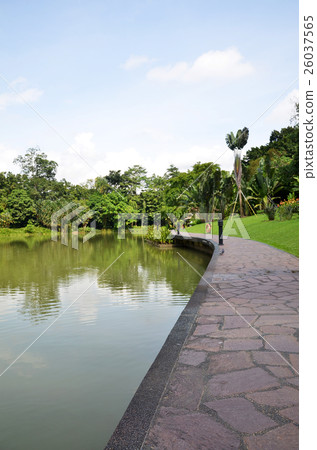 Lake in Singapore Botanic Garden Lake in Singapore Botanic Garden 26037565