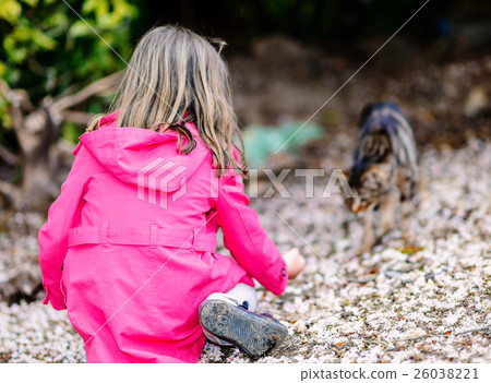 little girl giving food to a cat 26038221