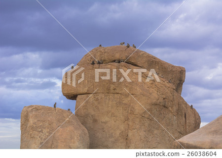 亨比古代遺址的巨石 26038604