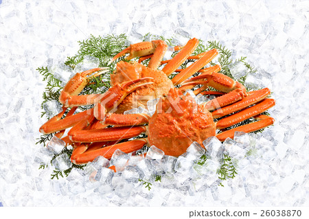 雪蟹 26038870